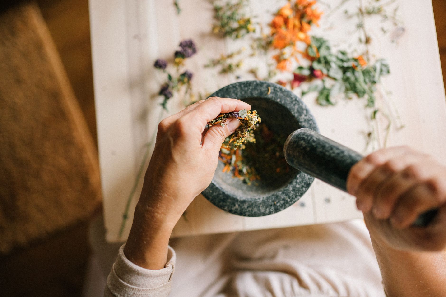 Naturopathe équipe à Brest